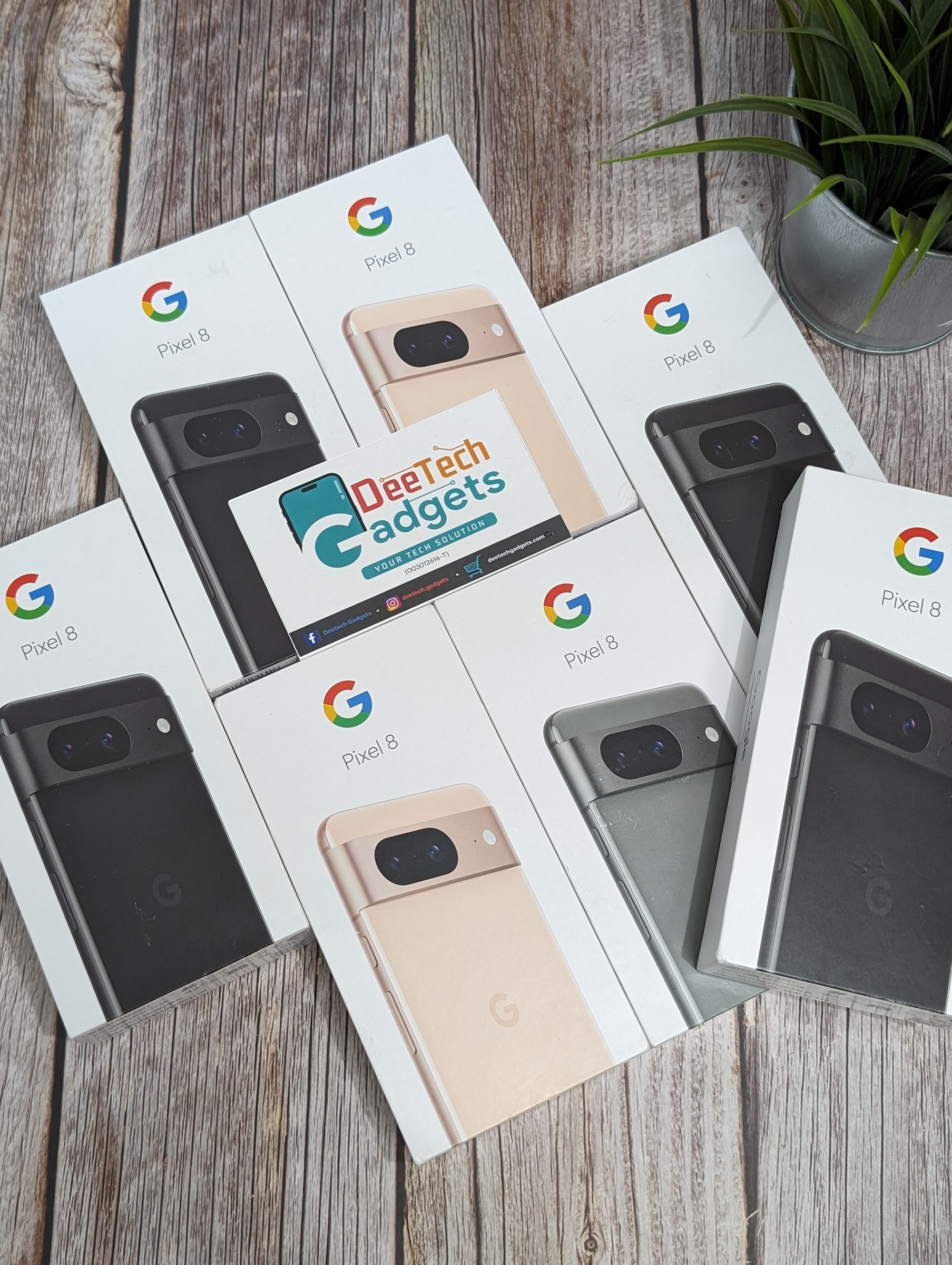 PXL_20240403_014109994