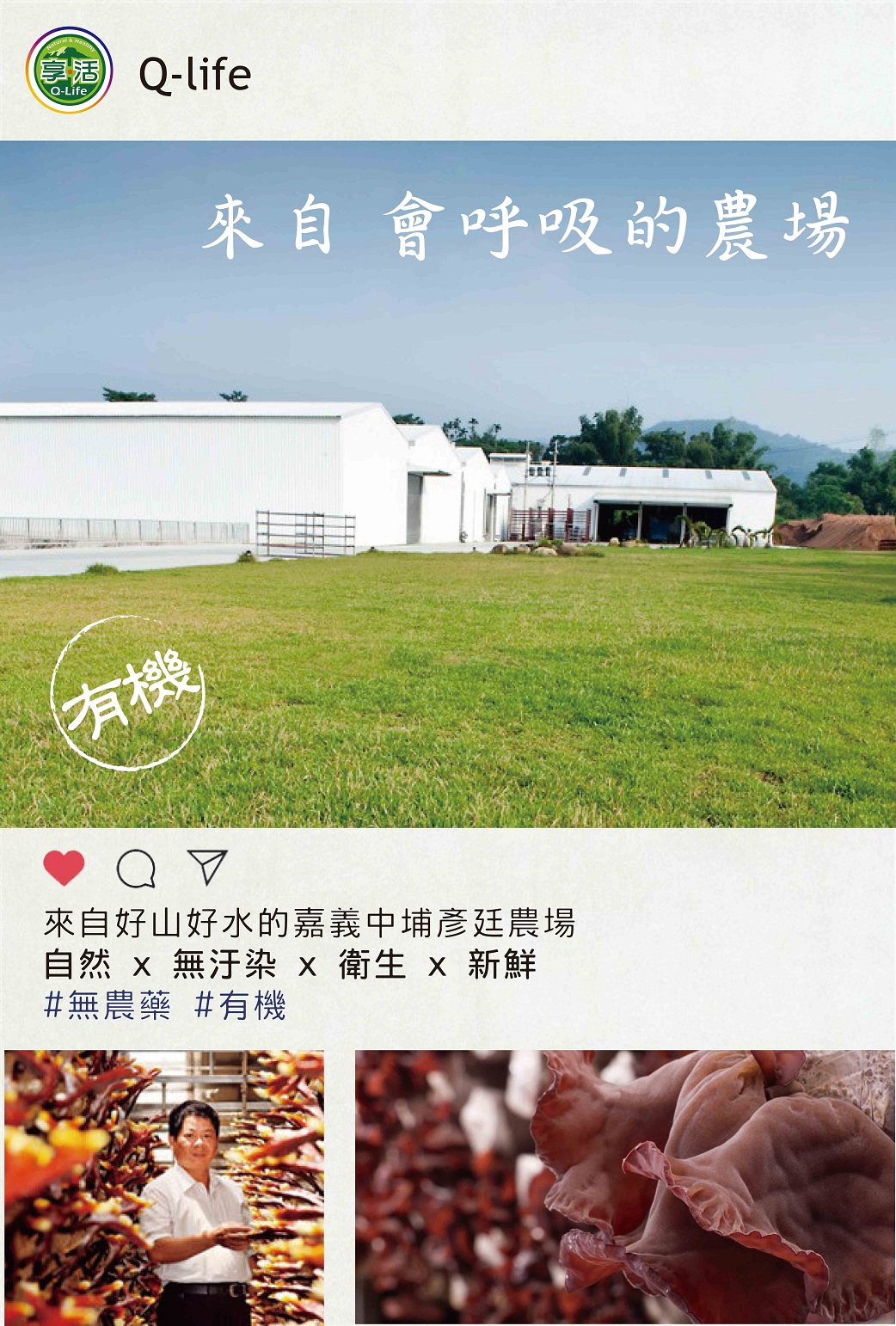 1網站商品介紹:黑木耳彥廷農場 25%.jpg 1網站商品介紹:黑木耳彥廷農場 25%.jpg