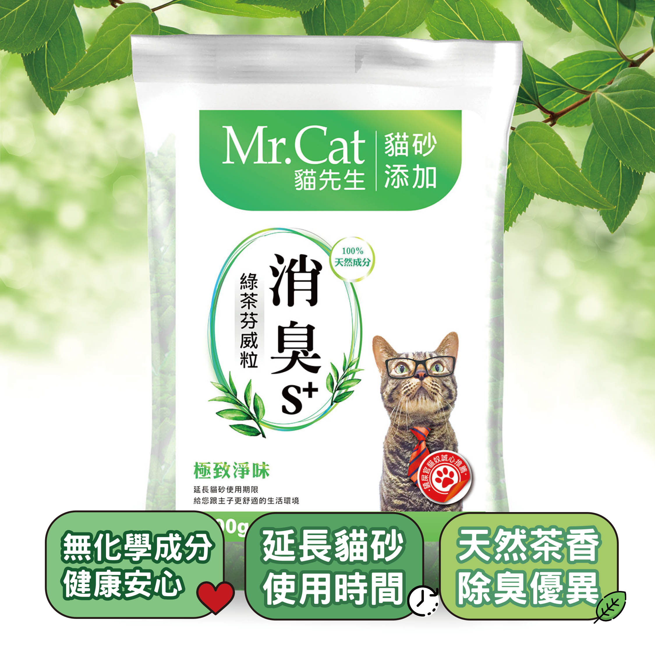 蝦皮正方形-綠茶芬威-1.jpg 蝦皮正方形-綠茶芬威-1.jpg