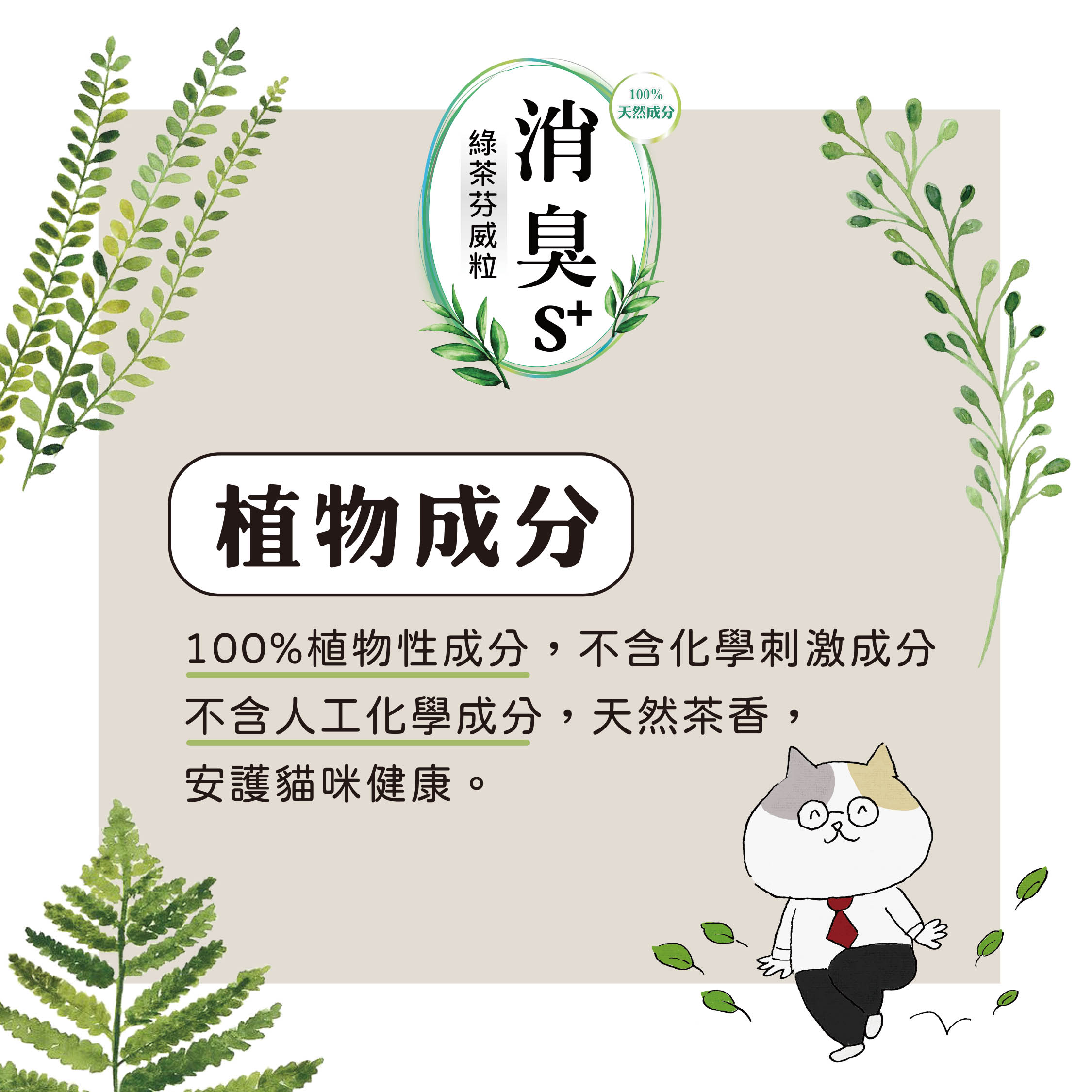 蝦皮正方形-綠茶芬威-2.jpg 蝦皮正方形-綠茶芬威-2.jpg