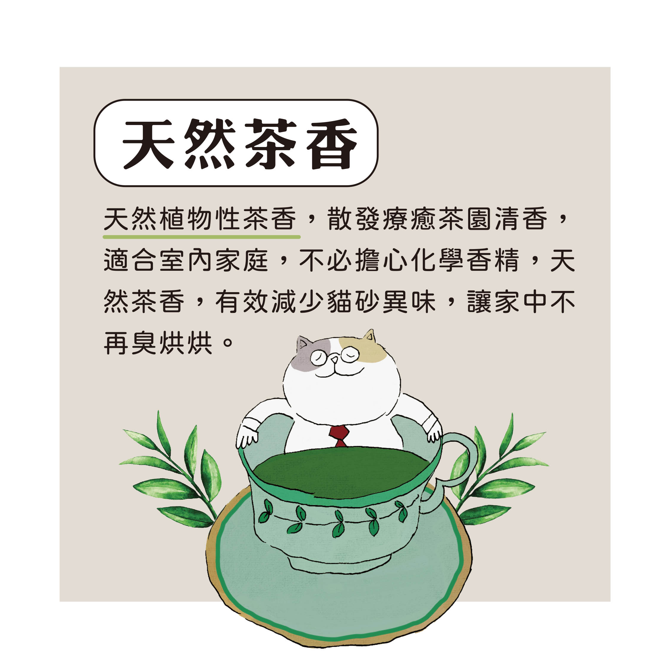 蝦皮正方形-綠茶芬威-3.jpg 蝦皮正方形-綠茶芬威-3.jpg