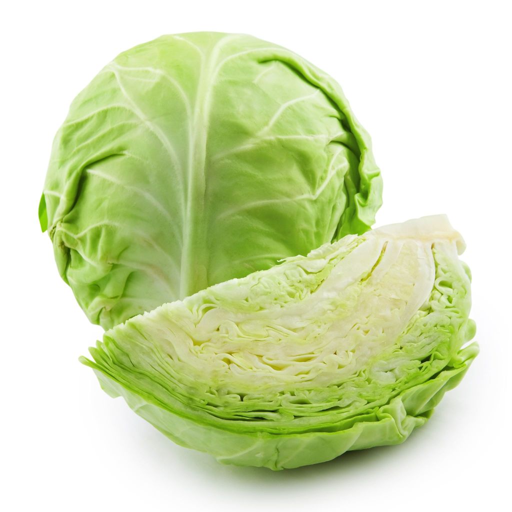 cabbage-07-20180925-141813.jpg