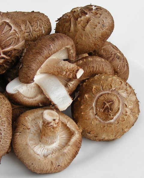 Shiitake_mushrooms_1.jpg
