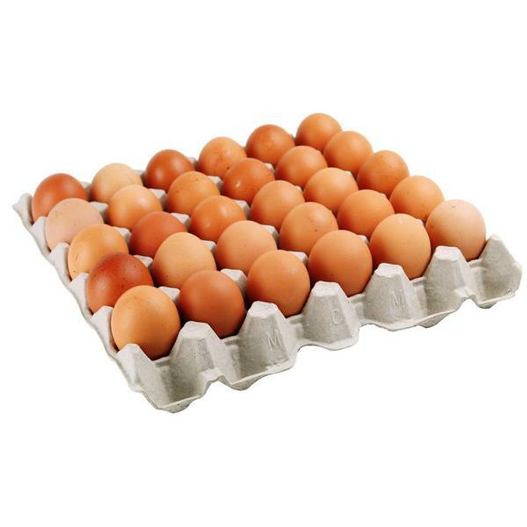 egg-tray_grande.jpg