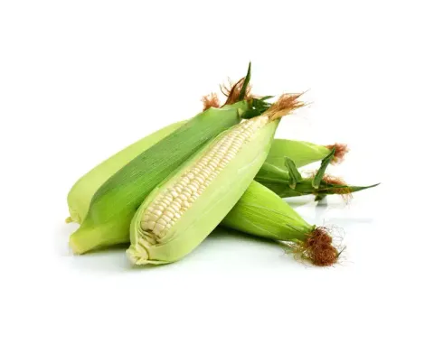 corn-white