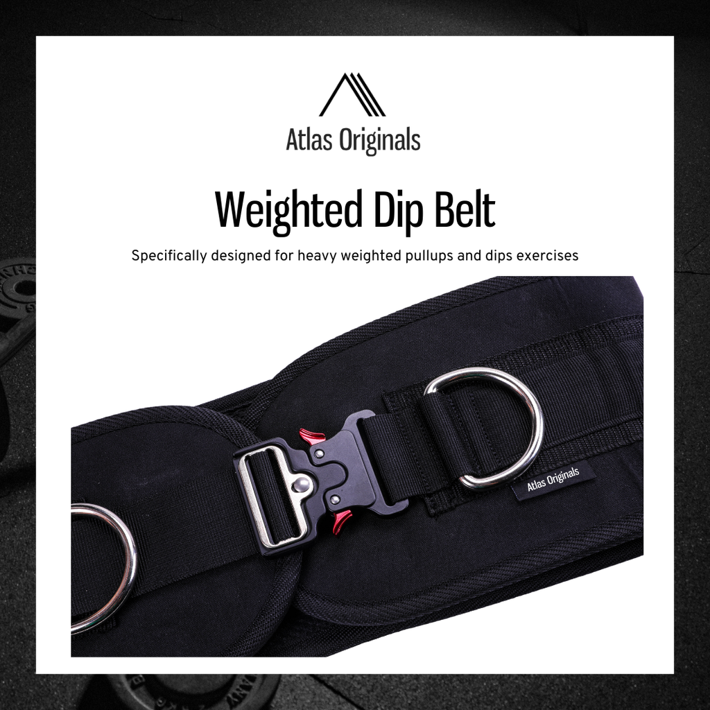 Weighted Dip Belt (NEW)