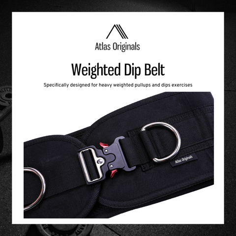 Weighted Dip Belt (NEW)