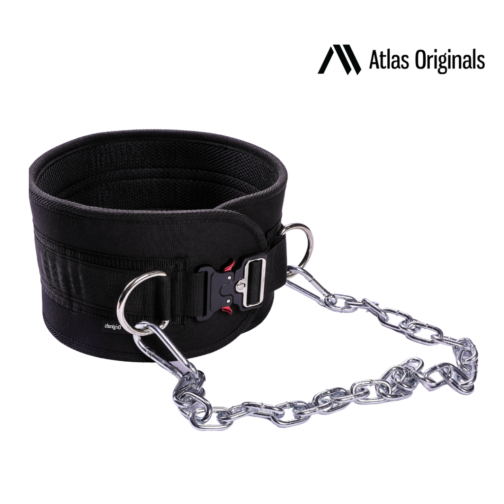 Weighted Dip Belt (NEW) (2)