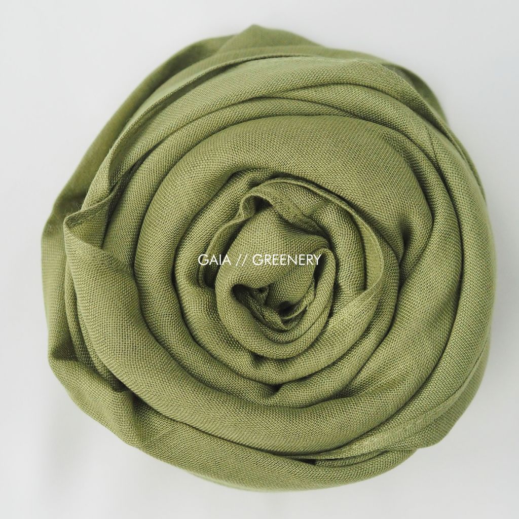 IMG_5318-1730701678687