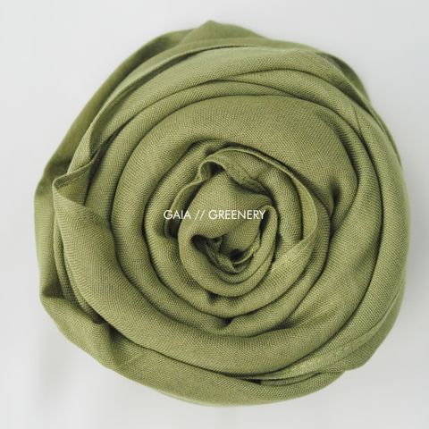 IMG_5318-1730701678687