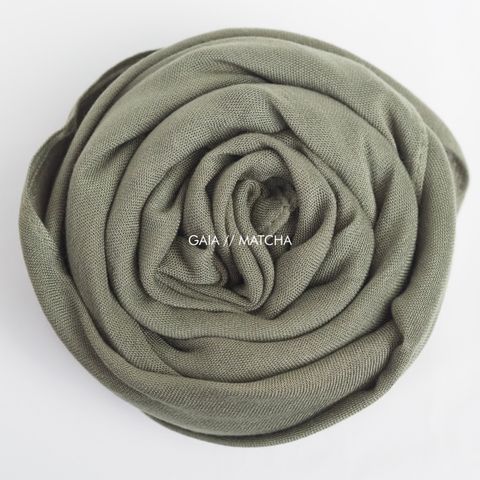 IMG_8099-1734955765563