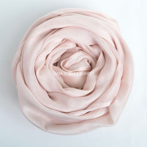 IMG_8101-1734955785303