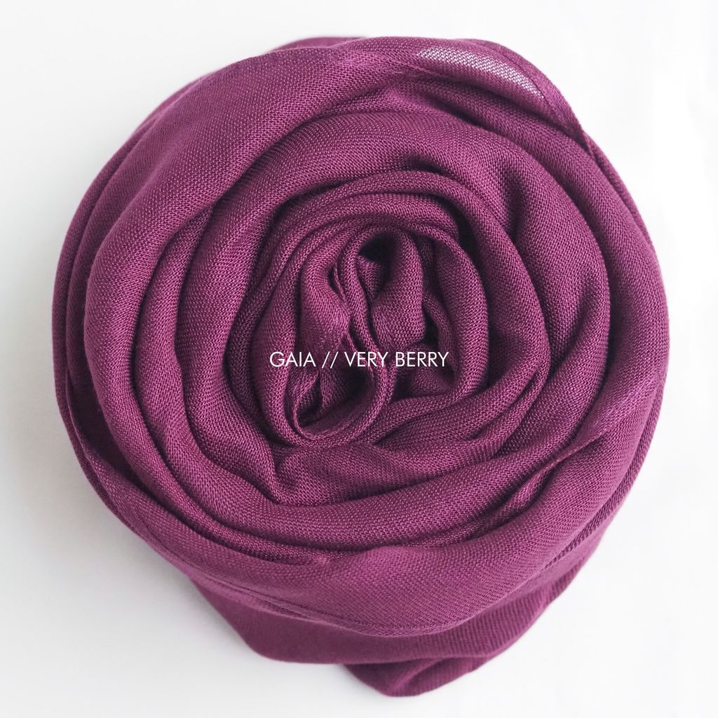 IMG_8104-1734955826709