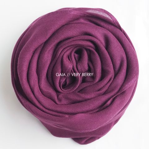 IMG_8104-1734955826709