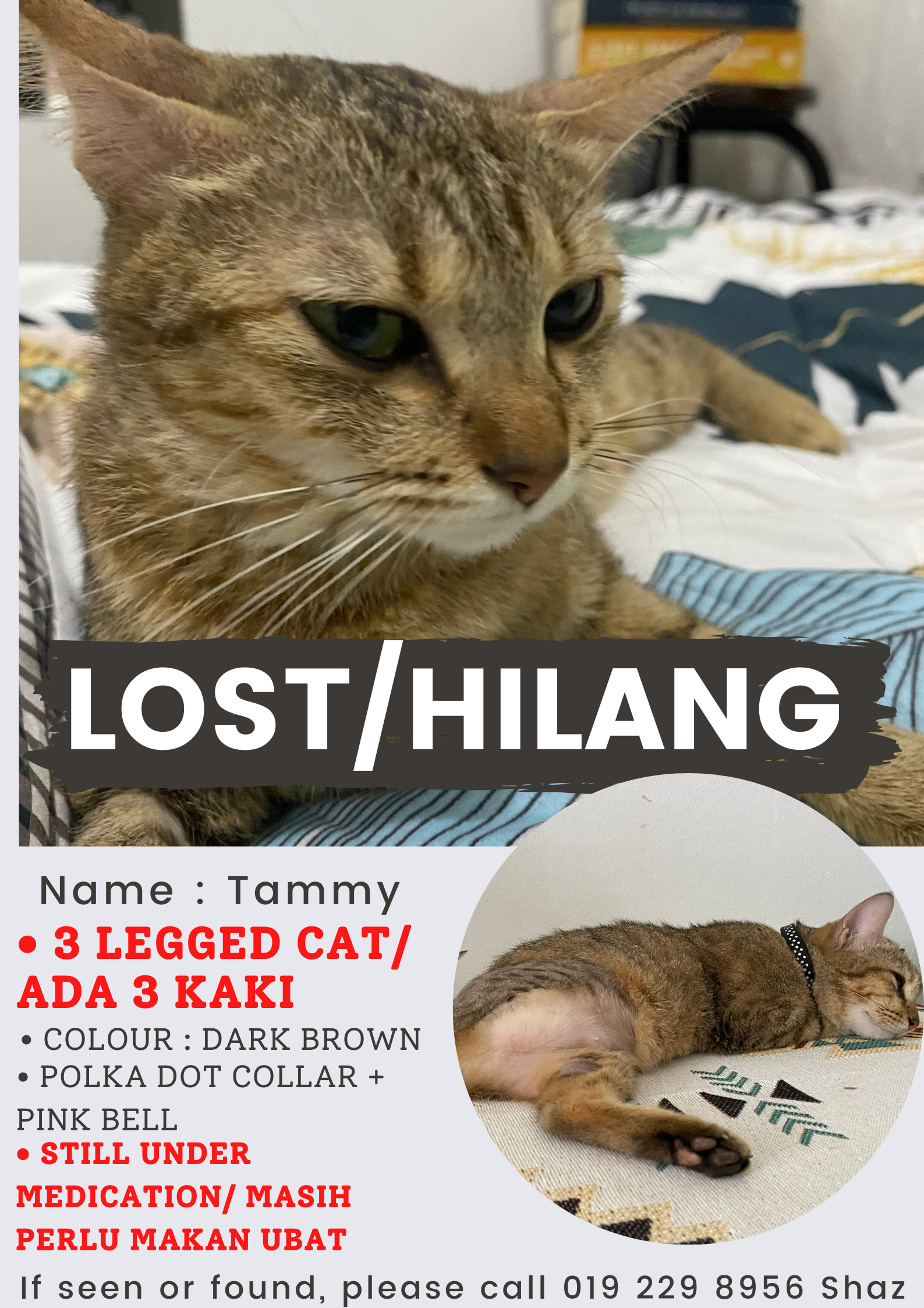 Tammy Lost Cat Poster.png