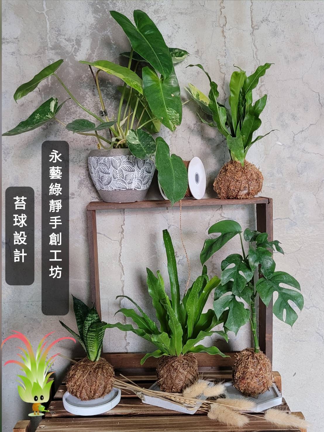 2022 11.05 療癒綠植時光苔球製作手作課– Daily Sweet Thing 恬事