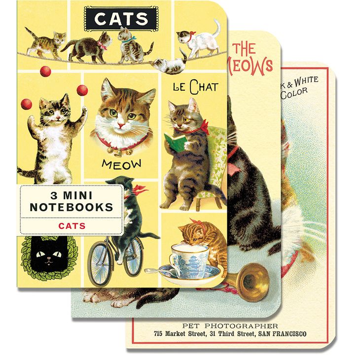 nbcat_mini_l