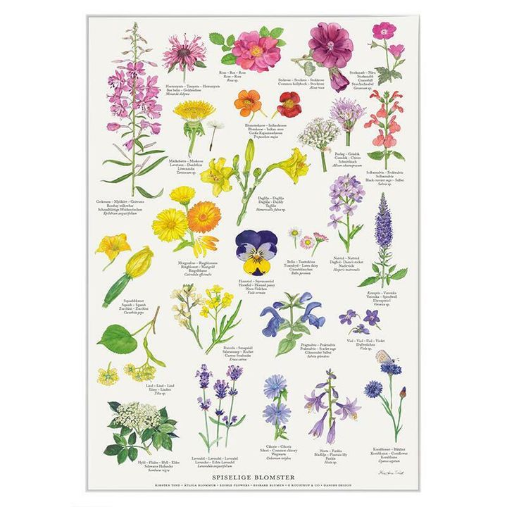Spiselige blomster1631028934.5807.jpg