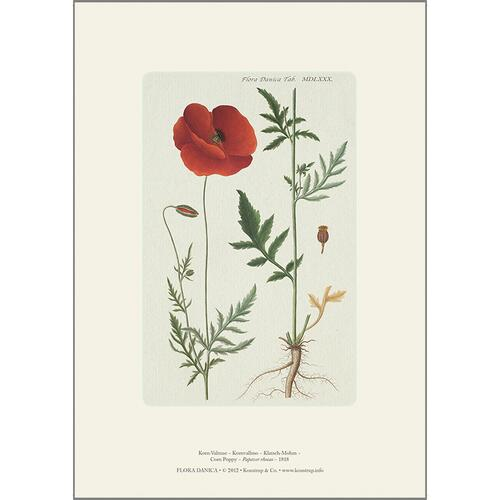 ART PRINT A4.png