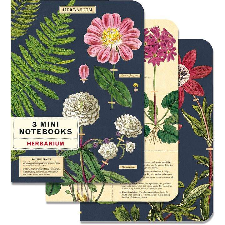 nbherb_mini_l