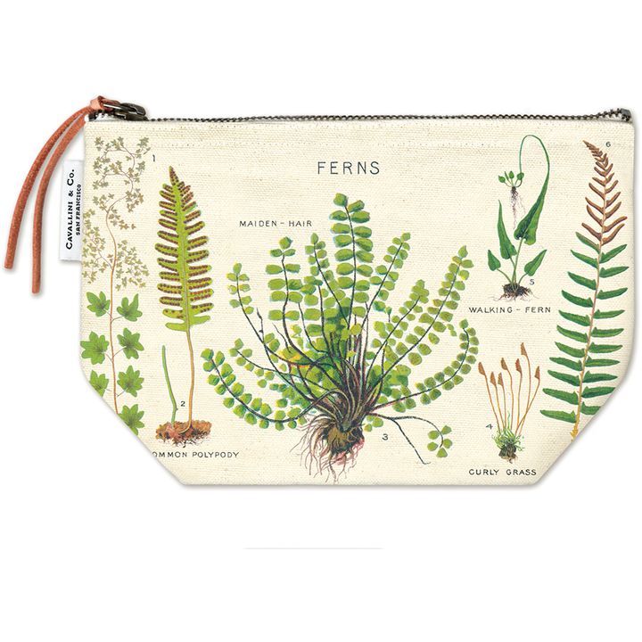 pouch_fern_l