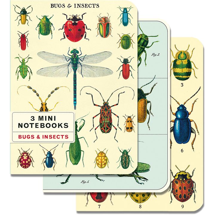 nbbug_mini_l