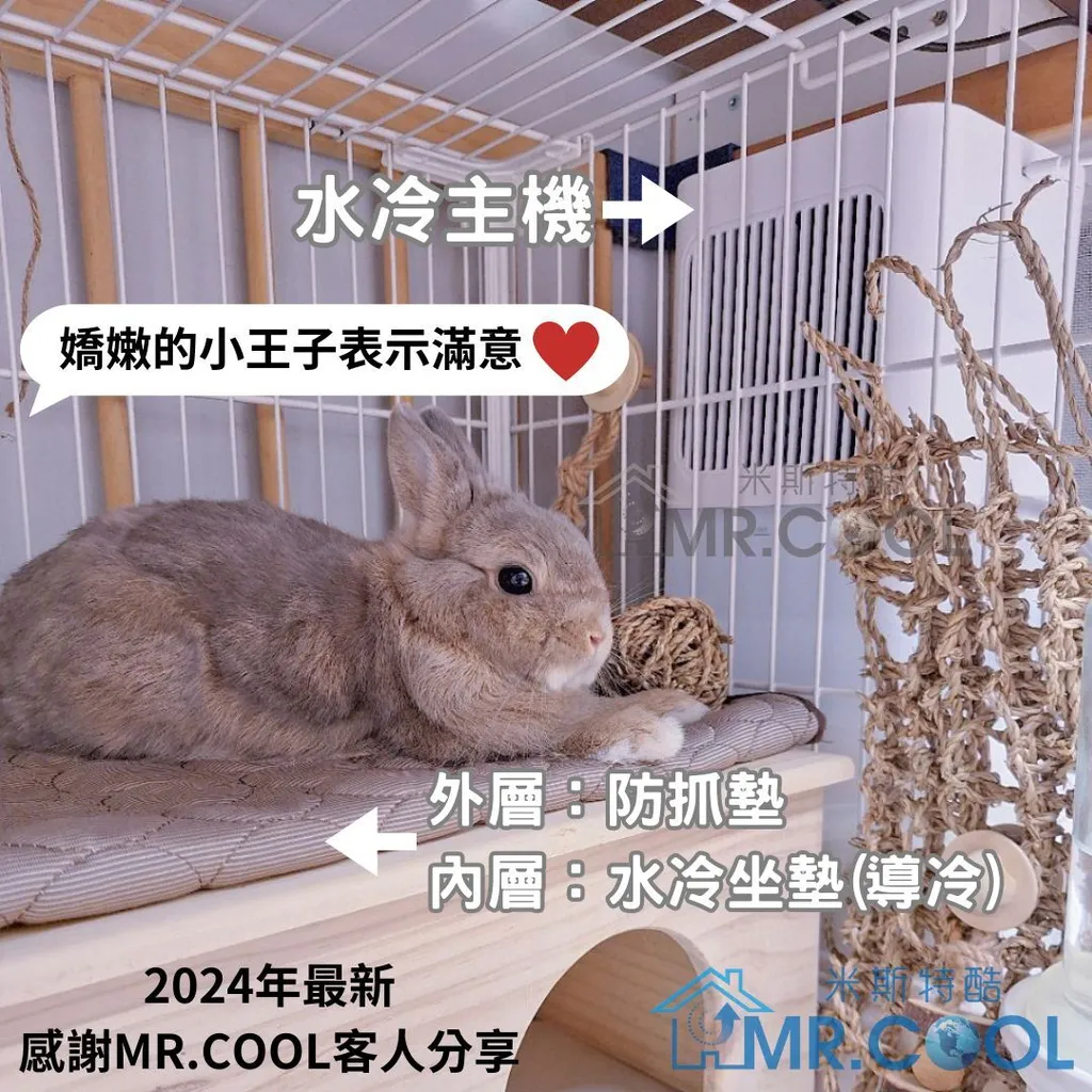 tw-11134208-7r991-lx6yl5yh2rsge6
