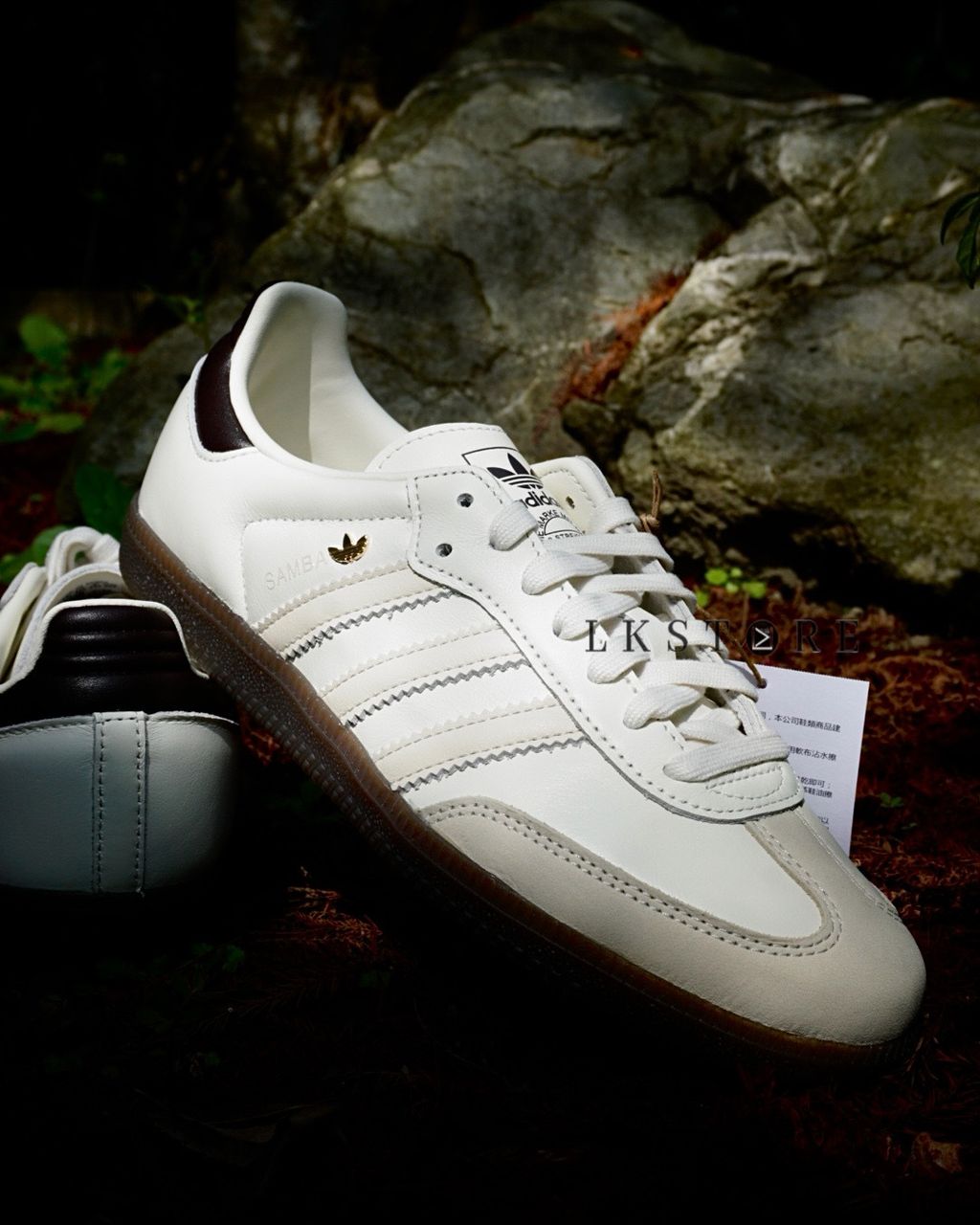 image_7A5800B8-79FA-4A08-ACFD-B3259EE6C87B_1773557103