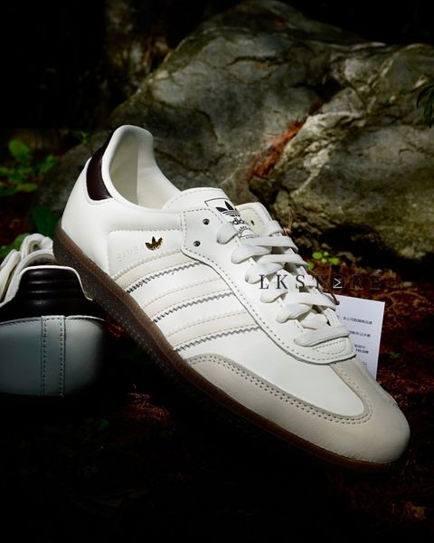 image_7A5800B8-79FA-4A08-ACFD-B3259EE6C87B_1773557103