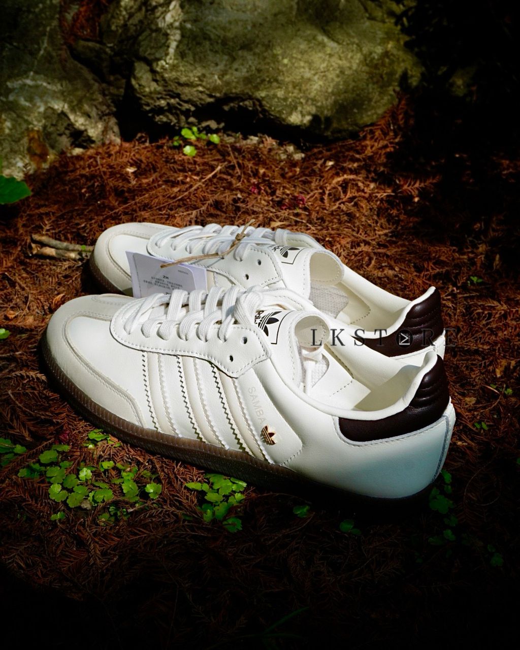 image_B54EA02D-D0D0-411E-91A6-4F5AFCF85DF1_1773557103