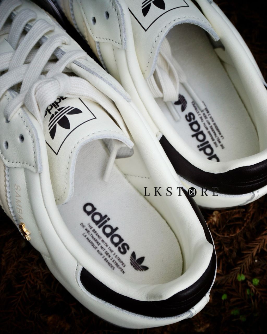 image_23FFD6C0-A3B7-4D31-9EA6-6926B5222384_1773557103