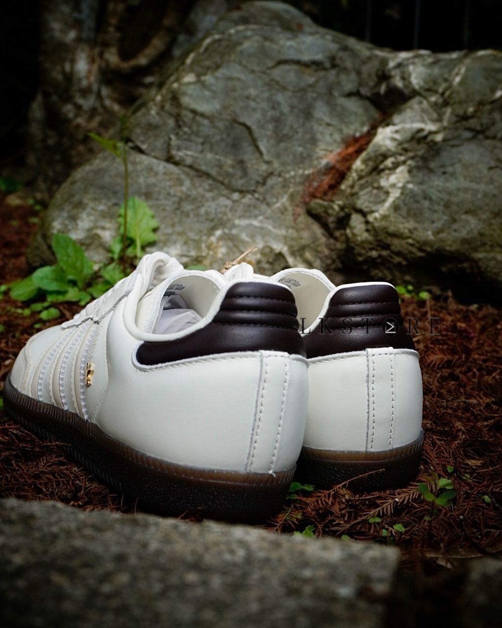 image_4BA6EDEF-9264-4DC1-9BEC-FC942044161F_1773557103