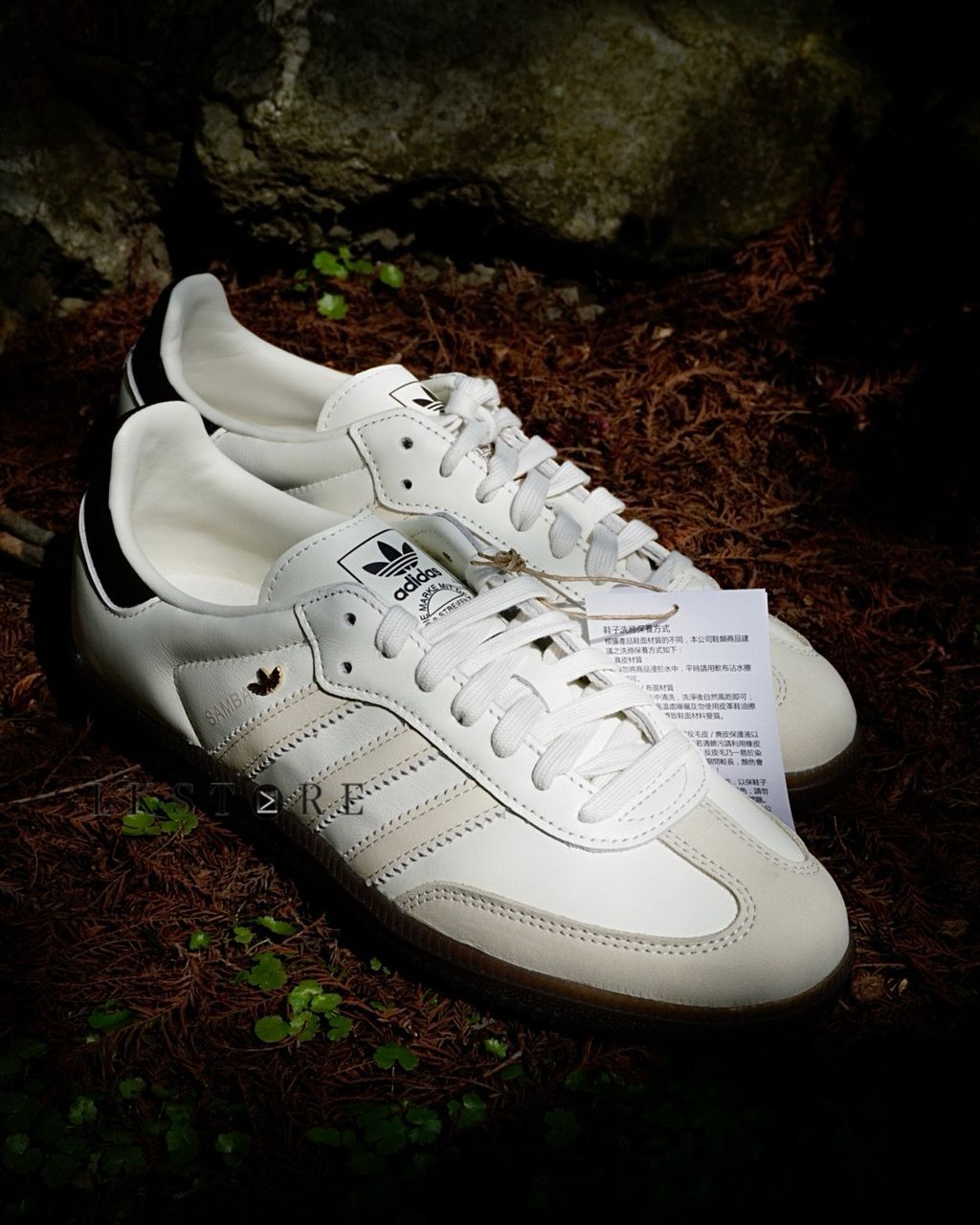 image_06356BC3-4E6C-47D1-8EC4-48DE4924DFF0_1773557103