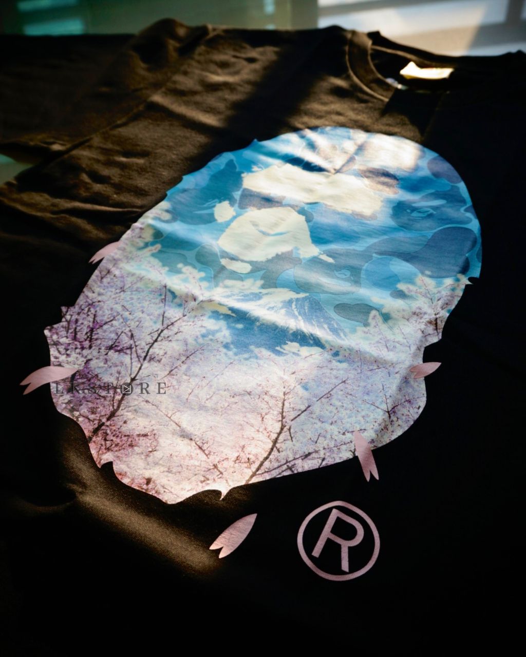 image_304B9C37-EF42-4596-BBAF-EF4833671678_1757593393