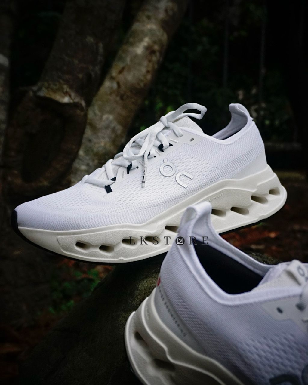 image_C88A3CFB-F0AF-4102-A17C-E61240F65E5D_1767717463