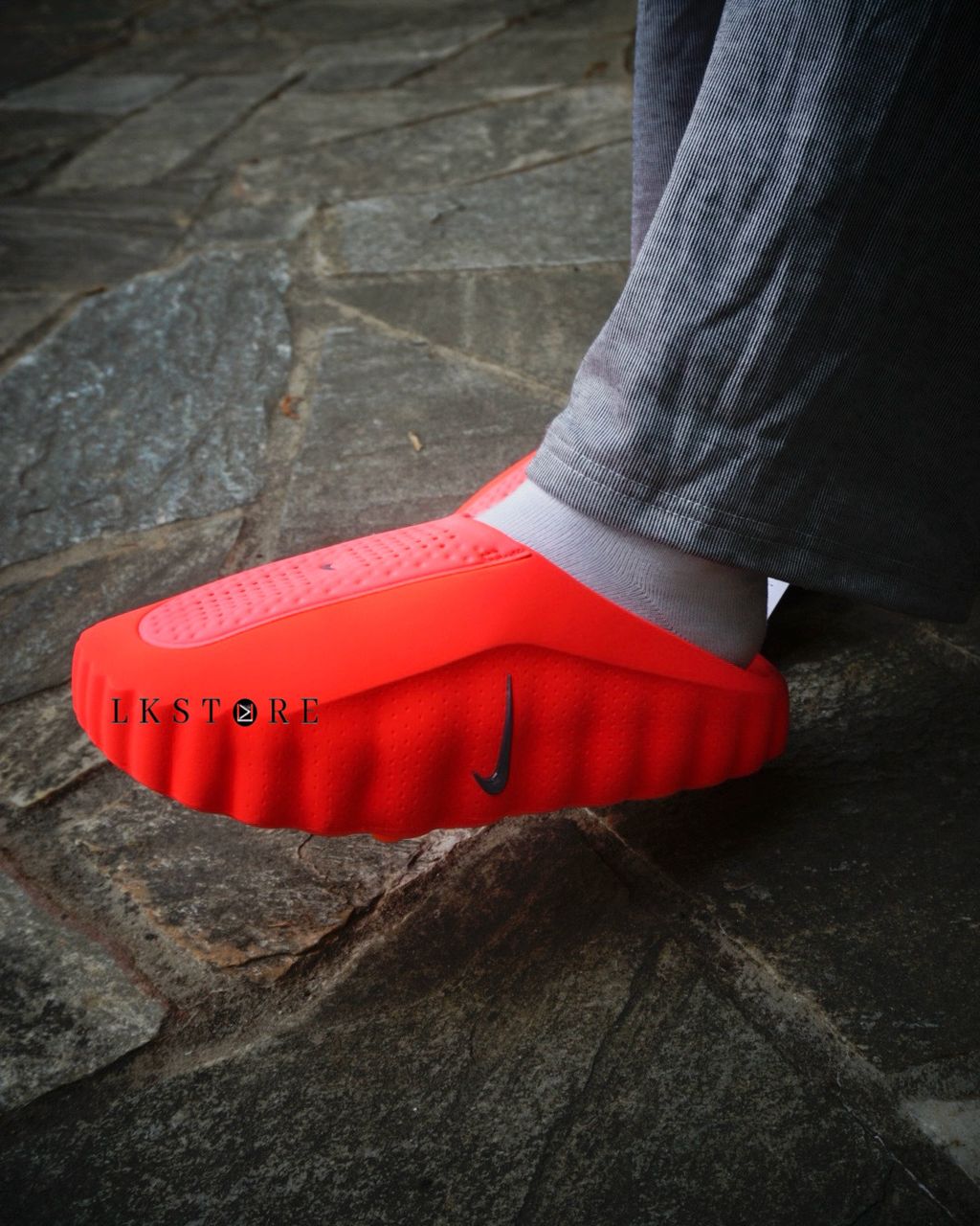 image_A5631DC0-0BBB-407E-A172-569EA402A2C7_1768811856