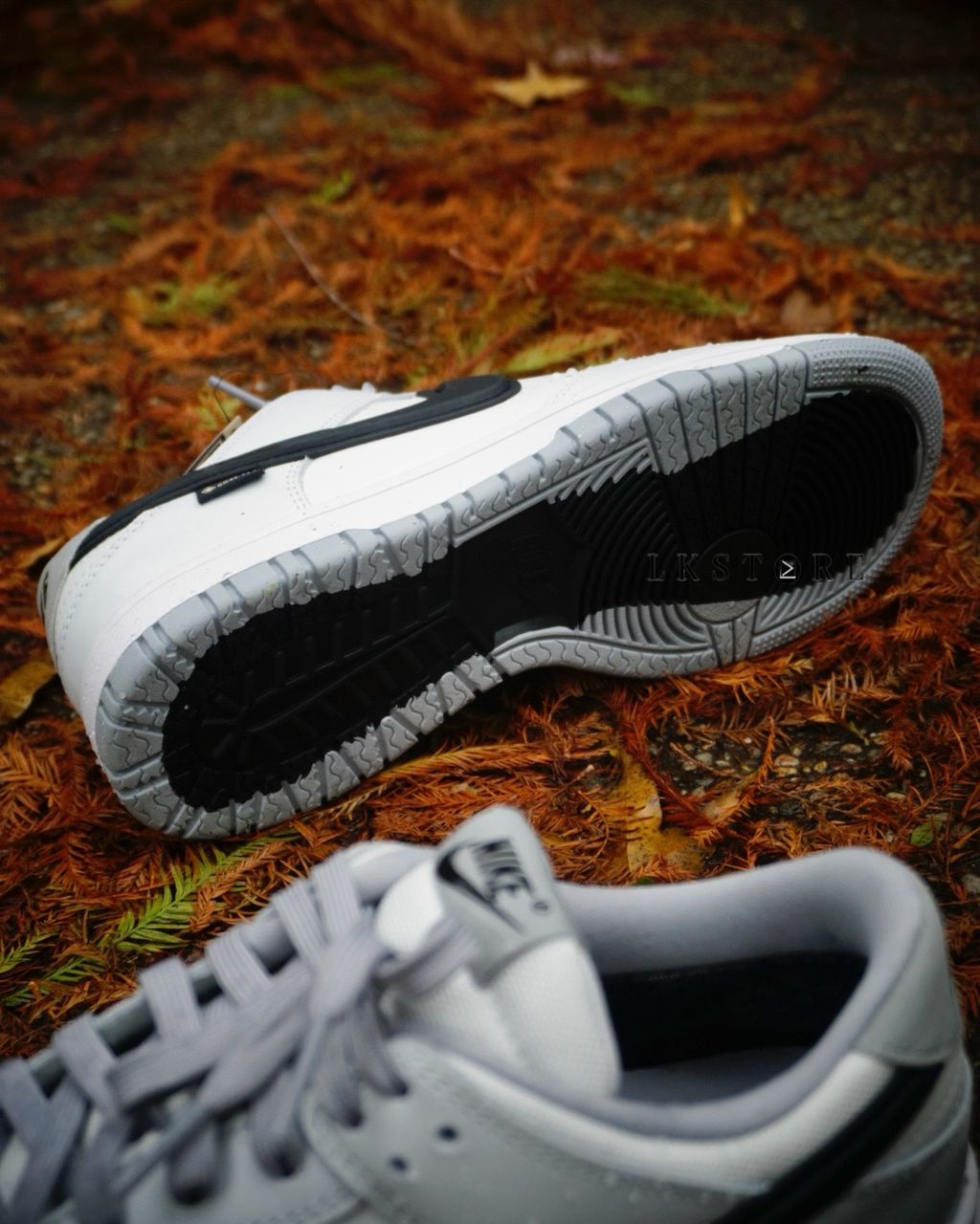 image_5F1DE866-C102-4424-83AC-1879A7AB85A0_1768902696