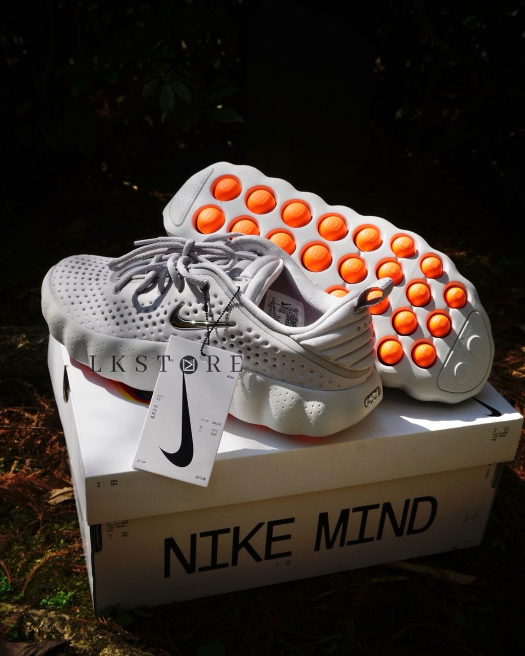 image_3D2F82D2-DC09-4358-A869-7BAE591B7610_1770716294