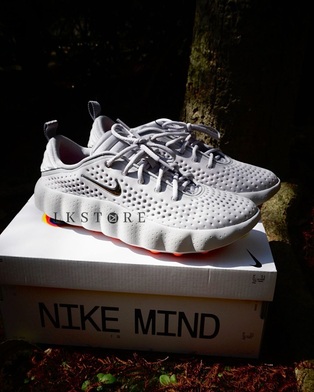 image_4CD544A3-49FE-4CD1-AD49-843140BF5881_1770716294