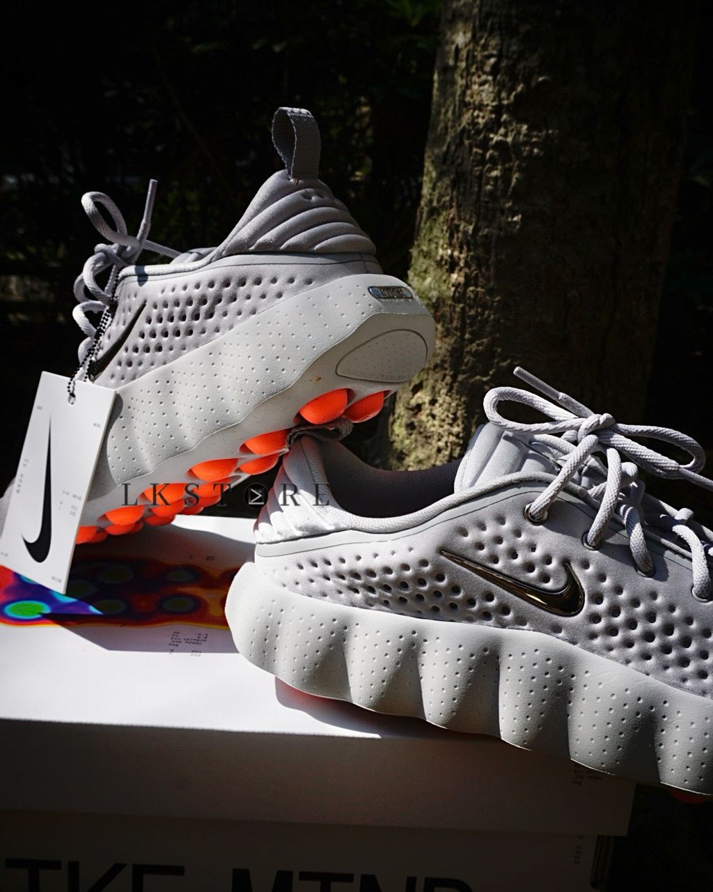 image_67336205-F740-413B-8A42-0B6F6B6AFA08_1770716294