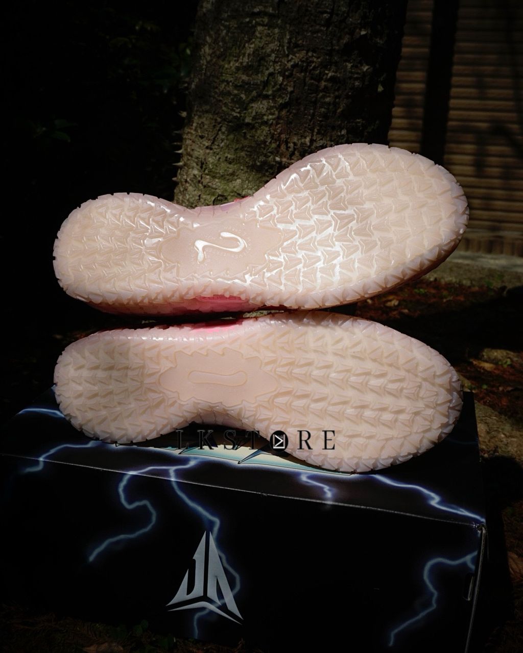 image_F2EA5D65-5D75-4CA2-A5BF-05682D653062_1770968621