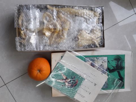 20201222_164112.jpg