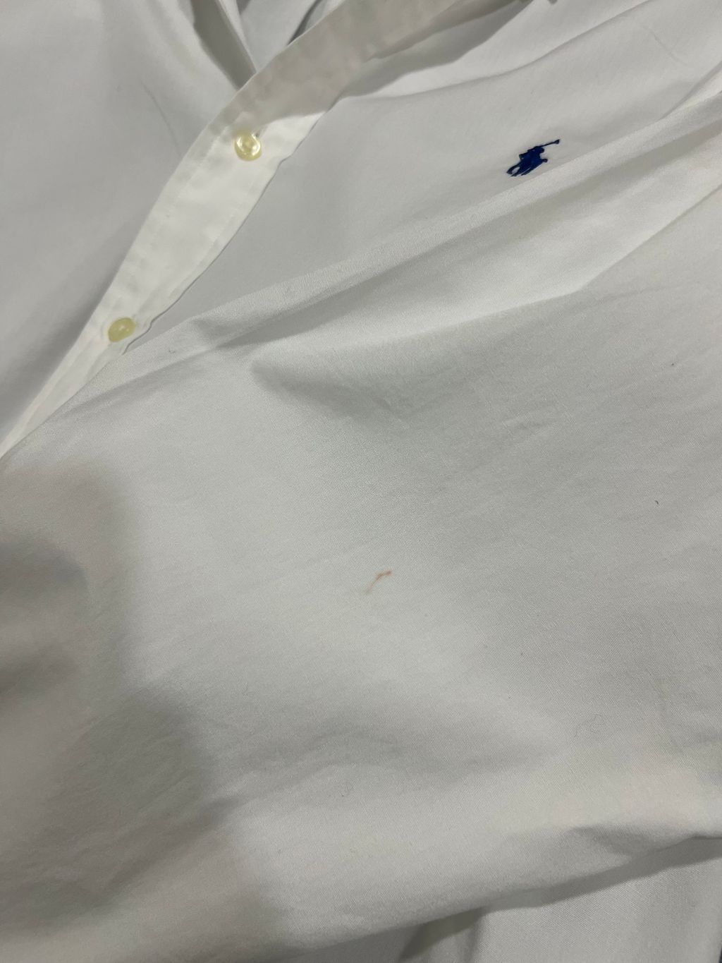image_0BF5900B-4C2D-4CC8-8D3B-560DCE2CB680_1748014139