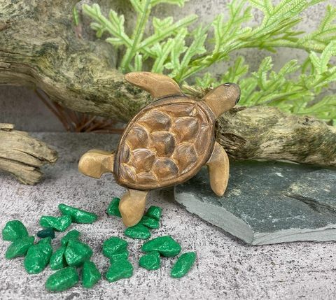 Turtle3.jpg