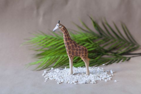 giraffe.jpg