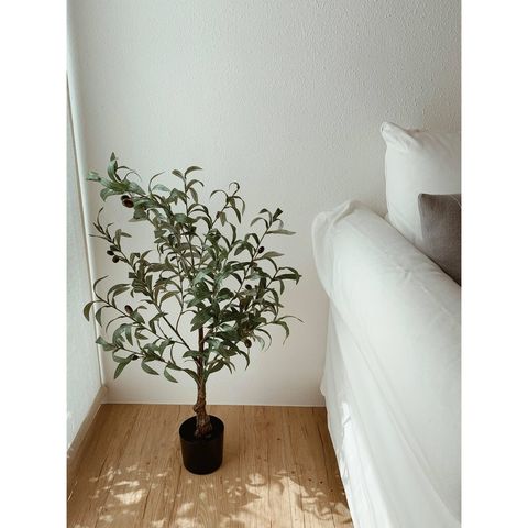 37868ea3127af7aaba5fa3437d6c3a81