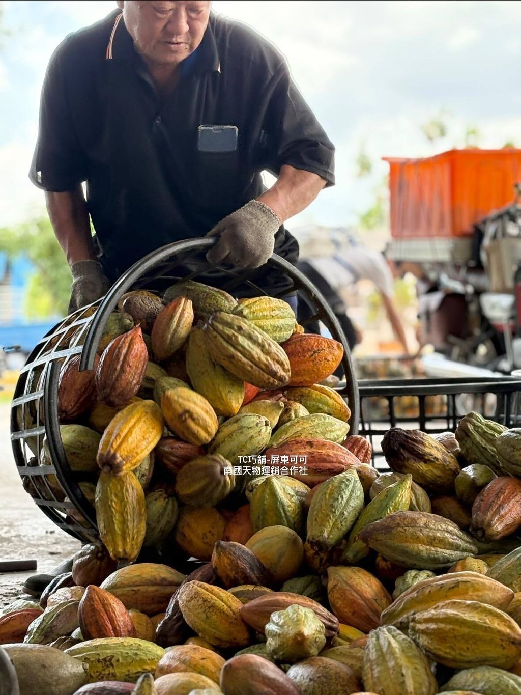 511012577_1284051093729070_4731068932037909816_n