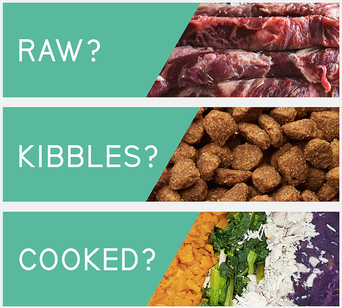 Raw? Kibbles? OR Cooked Food? (Which One Is Better For Dog)