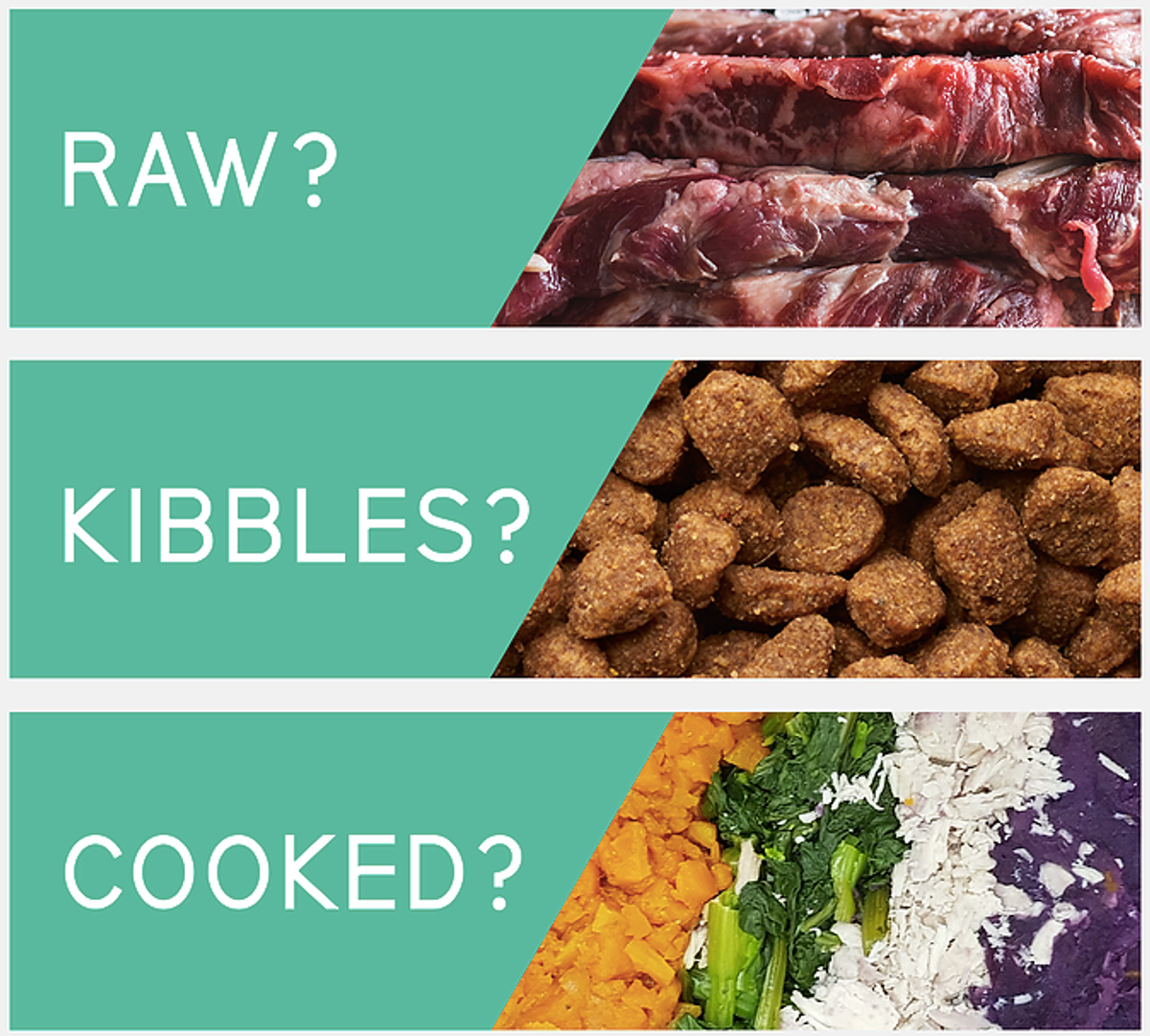 Raw? Kibbles? OR Cooked Food? (Which One Is Better For Dog) – Furxury |  Healthy Pet Food