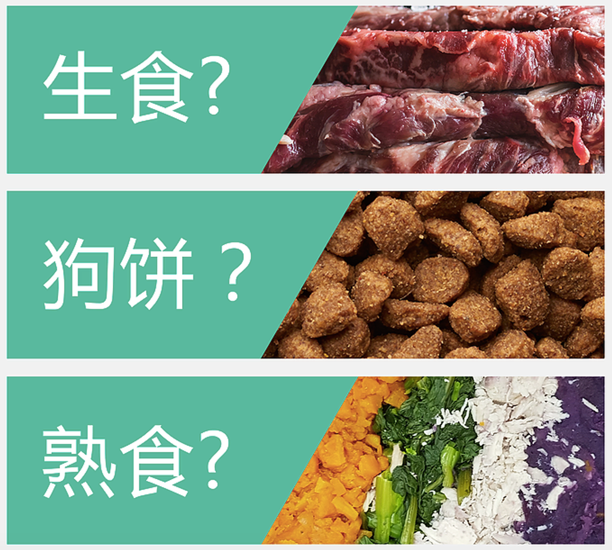 生食？狗饼？或 熟食？ （那一种对狗狗最好）